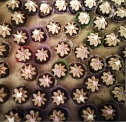 WhatsApp Image 2019-04-01 at 14.59.42